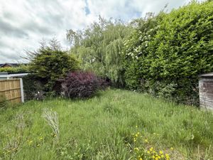 Photo 2- click for photo gallery